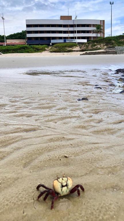 Praiabella Hotel São Luís المظهر الخارجي الصورة